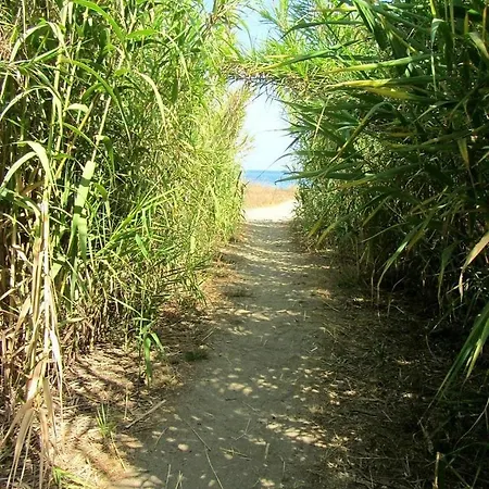 With Garden - Two Pools - Access *